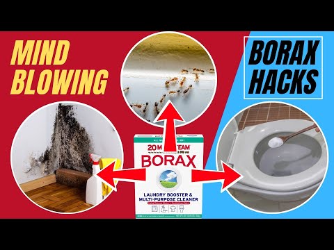 6 Borax Hacks That Will Blow Your Mind!