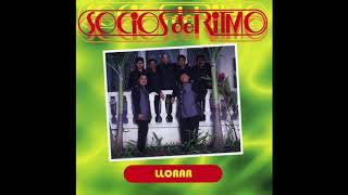 Como un Bello Diamante Lyrics English Translation