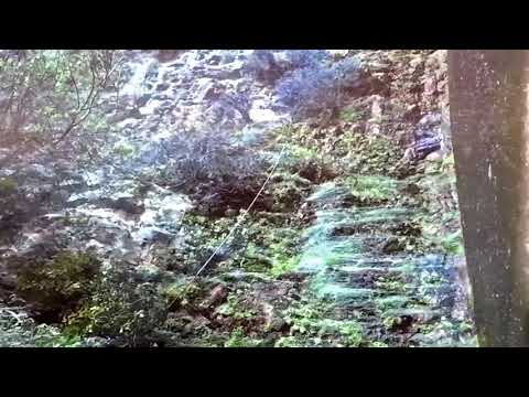 Klara Lewis - Shall/Should