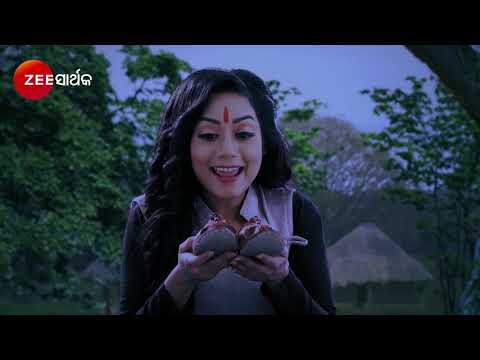 Sata Bhainka Sunanaki | Odia Serial | Full Ep - 43 | Zee Sarthak