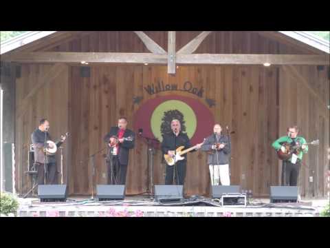 The Grass Cats - Bluegrass Man