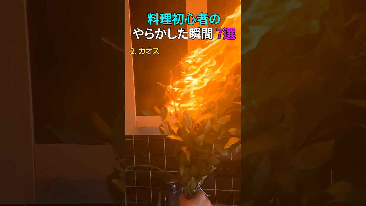 料理初心者のやらかした瞬間 7選