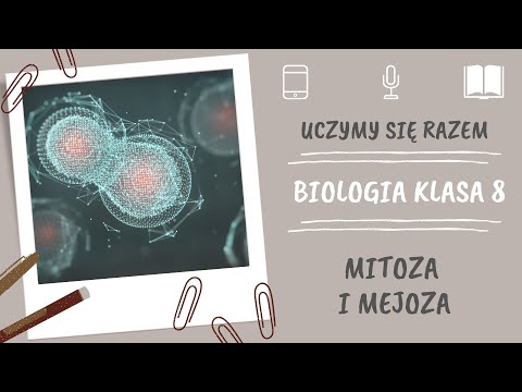Biologia klasa 8. Mitoza i mejoza. Uczymy się razem