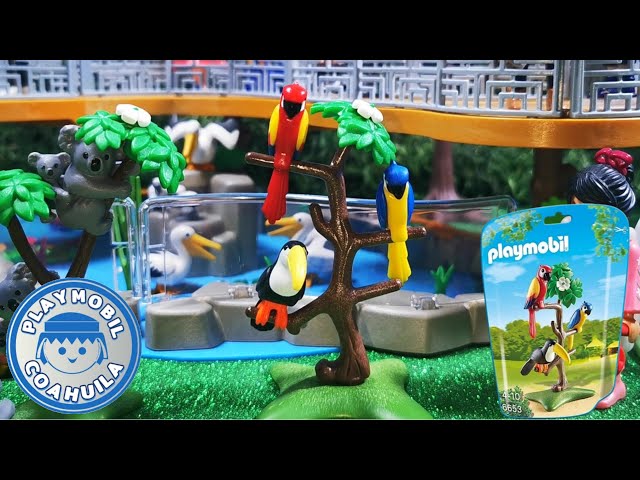 Vídeo relacionado con PLAYMOBIL | Animals & Friends | Zoo Mascota | Hombre con Disfraz de Loro y 3 Aves Tropicales | Juguete Infantil a Partir de 4 años | 72074