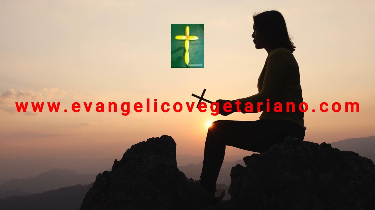 Functions Attributed To God  thumbnail