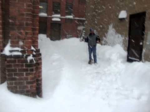 A view of the snow in Athol, Ma also my cat MaryLou