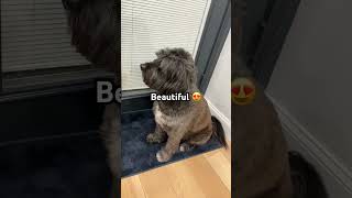 Download lagu Jupiter is perfect mp3