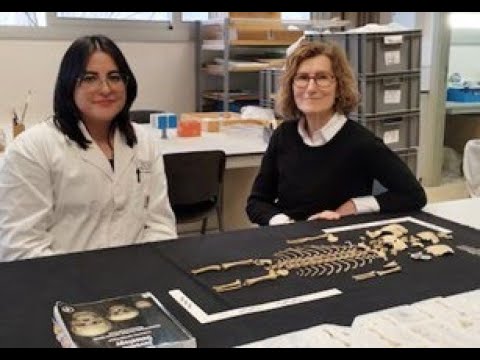 Los iberos sacrificaban cerdas preñadas a una diosa de la fertilidad.