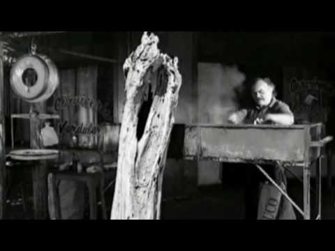 Ella es tan cargosa - Refugio (video oficial) [HD]