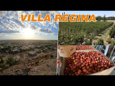 Conociendo VILLA REGINA | Río Negro y muchas manzanas!