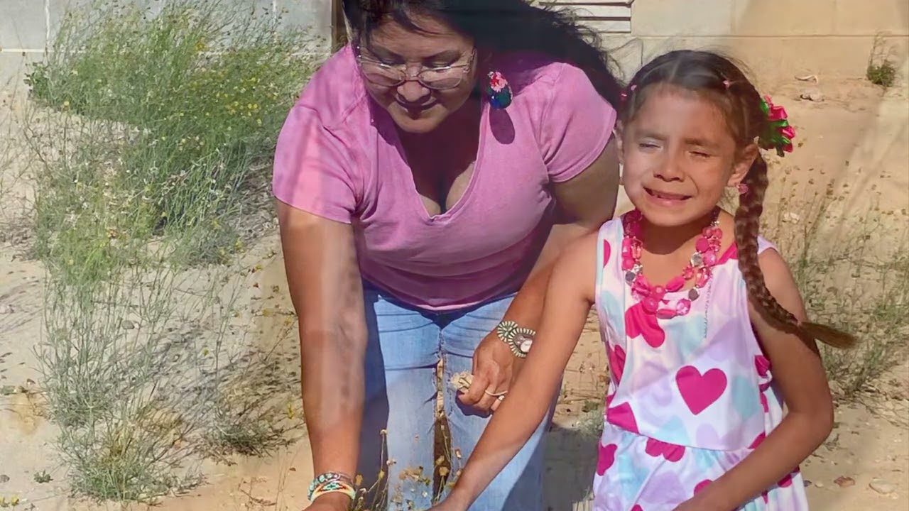 Navajo Tea Harvesting