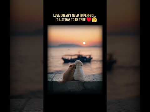 Shreya Bhattacharya's post tagged #smilemore