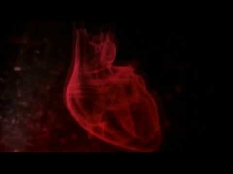 Ziso - Po Ai I Njejti (Official Music Video)