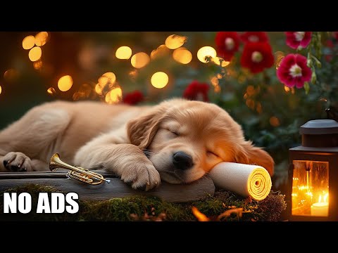 12 Hours Dog Calming Music 💖 Dog Separation Anxiety Music 🐶 Pet Calming Music🎵No Ads
