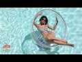 Kingfisher Calendar 2013 Cinemagraph