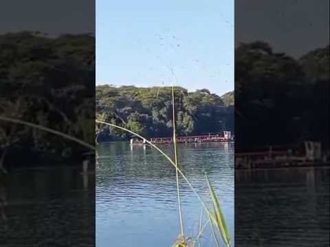 OLHA ISSO no RIO PARANAÍBA MG 😱