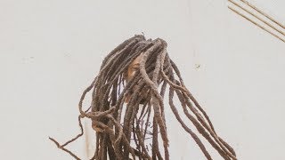 Nesta - Benjis (Audio)