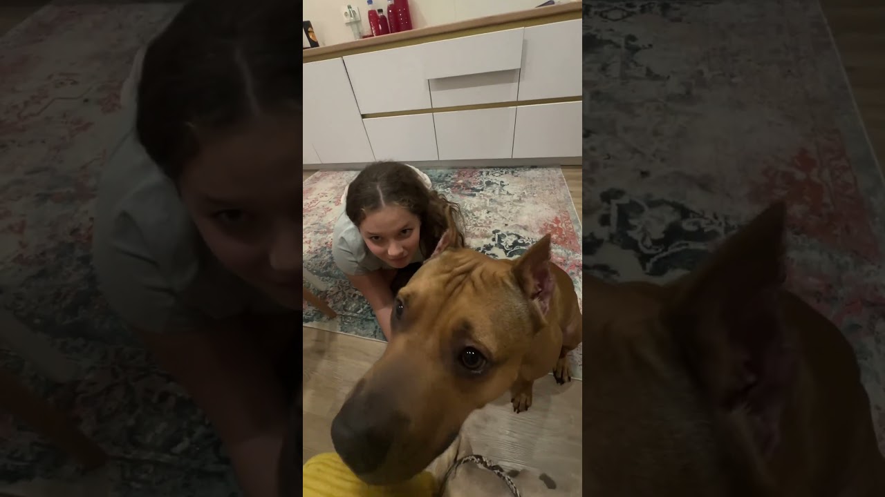 Запустить видео по клику - Как делать игры