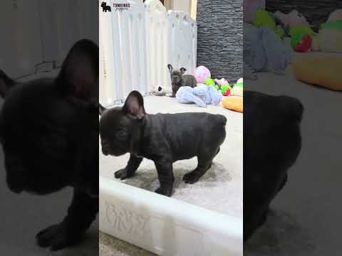 Video 4