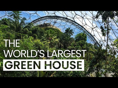 The Eden Project UK | The Largest Greenhouse In the World