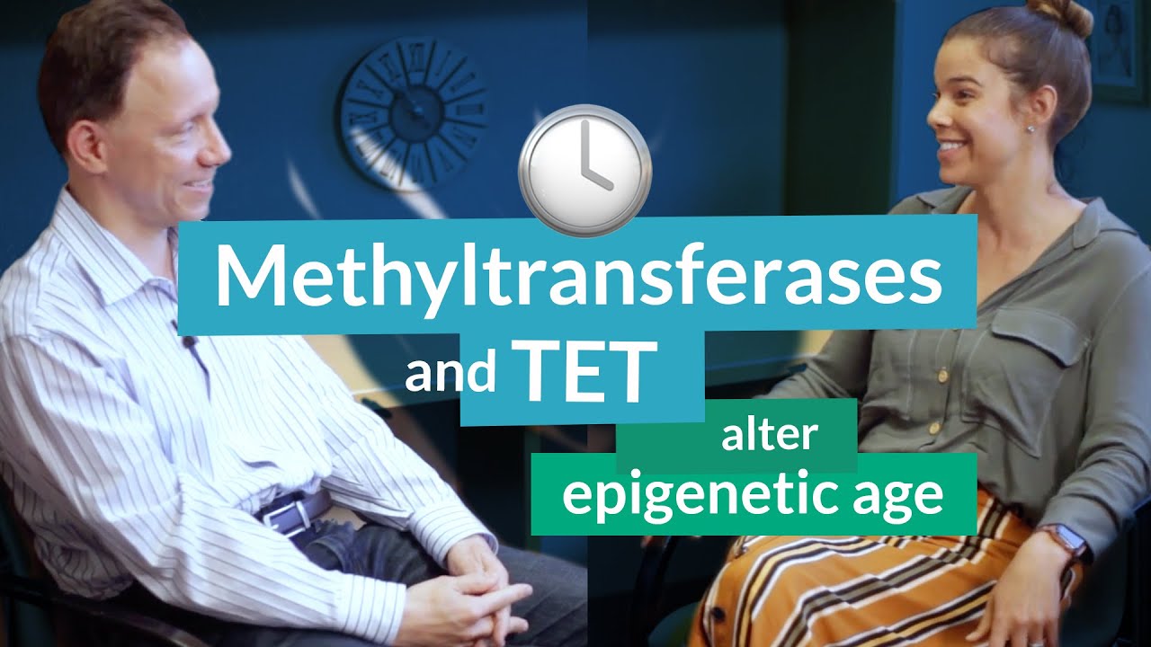 Methyltransferases and TET, a demethylation enzyme, alter epigenetic age | Steve Horvath