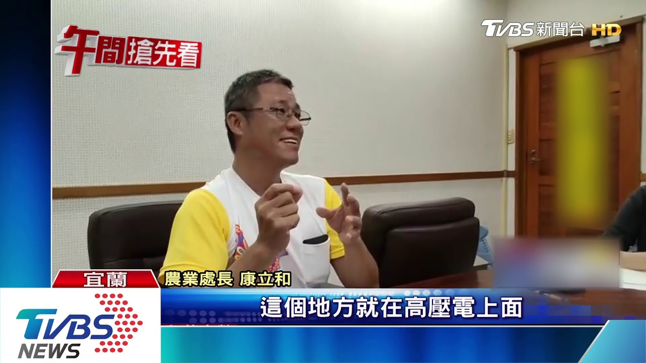 婦人遭蜂螫死 家屬控農業處慢半拍