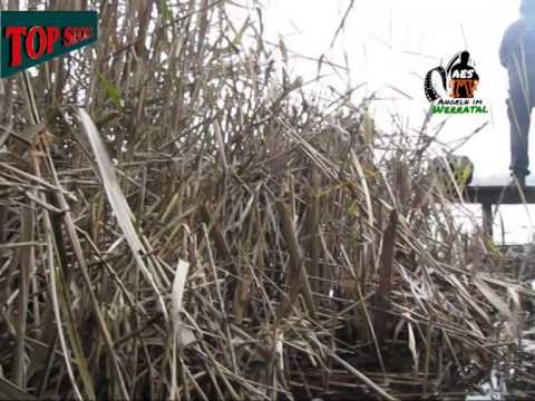 Angelteam AES angeln auf Hecht 2.0