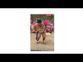 African Lifestyle Zulu Dance