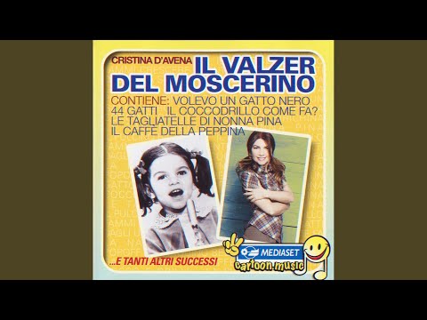 Il valzer del moscerino