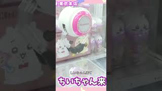 切り抜き◆【神業】プロのキャッチャーが挑戦！…からの、まさかの大惨事w◆ #shorts #切り抜き #ひめちゃんとおうくん