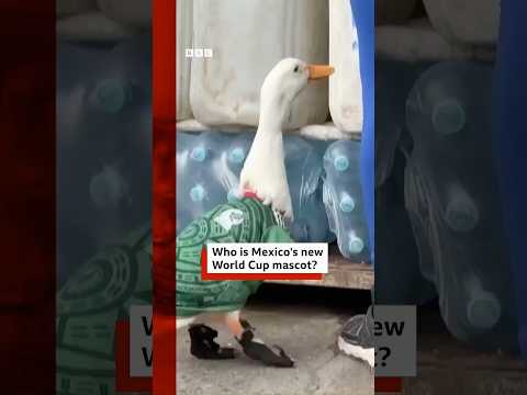 Meet Mexico’s new FIFA World Cup mascot Merlin the Duck! #FifaWorldCup  #MerlinTheDuck #BBCNews