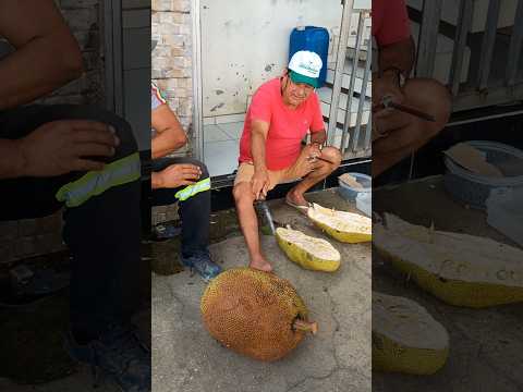 SUPER JACA DURA BREJÃO PERNAMBUCO ABRIL DE 2026