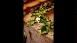 Mads Langer- Remains Of You (Cover) MHN