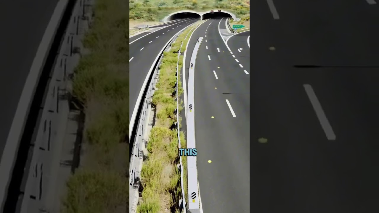 Automated Barrier Eliminates All Traffic