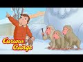 George Meets Snow Monkeys Curious George Kids Cartoon Kids Movies