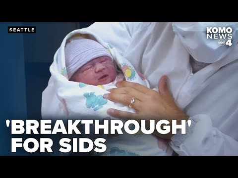 Seattle researchers hit 'breakthrough moment' in understanding SIDS