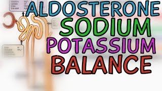 Aldosterone: Sodium and Potassium Balance
