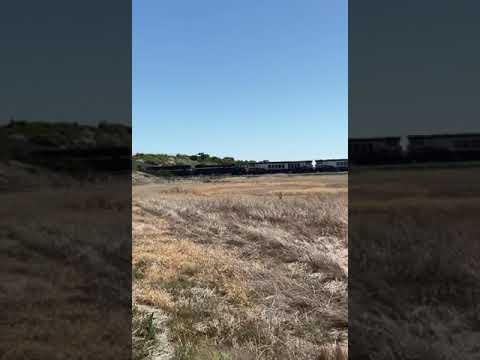 Rare VR livery X31 and C501 on 7 loco 7AM9 through the hills!