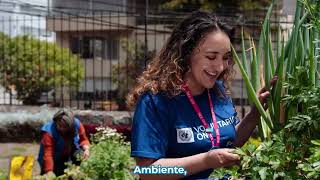 Profesionales con Propósito I ¿Quiénes pueden postular a las oportunidades de Voluntariado ONU?