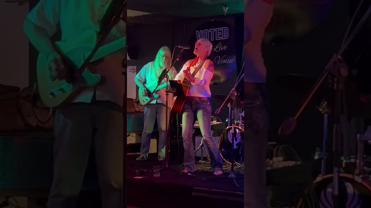 Promotional video thumbnail 2 for Lisa & The All-Terrain Band