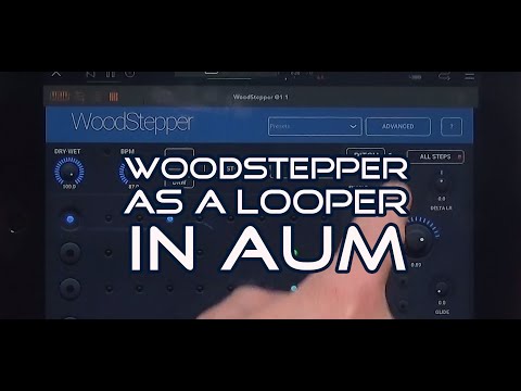 Woodstepper As A Looper Tutorial!