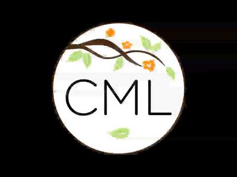 Steven Jango-Cohen - Am I Being Fake Right Now? - 10.29.2017