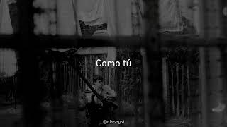How Kind Of You - Paul McCartney (Subtitulada al Español)