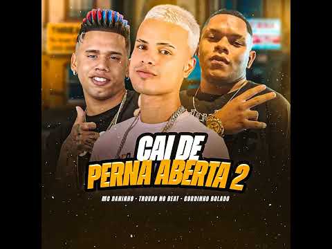 VAI ROLA UMA FESTINHA LÁ NA MINHA CASINHA - GORDINHO BOLADO, TROVÃO NO BEAT, MC DANINHO