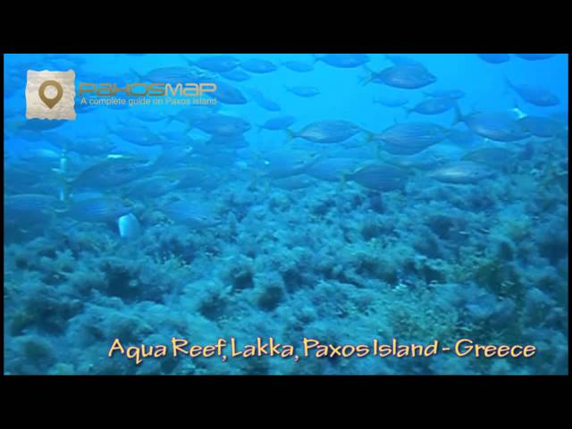 Paxos - Aqua Reef Diving Spot