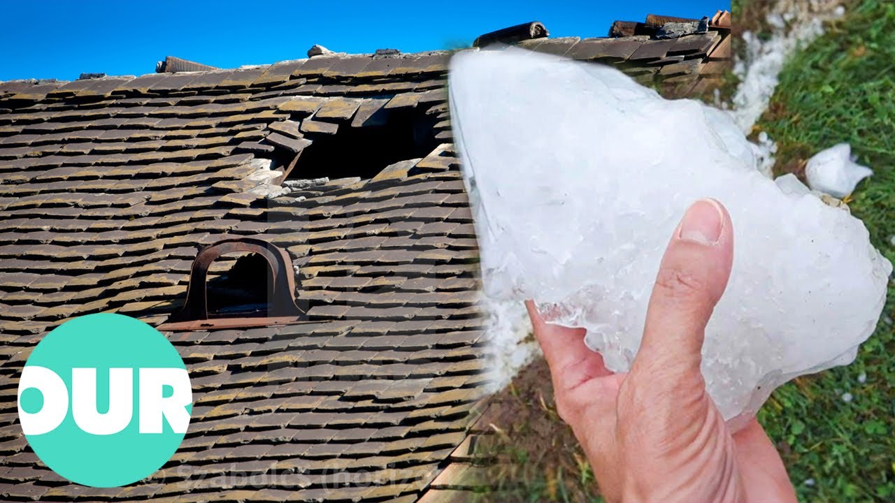 Fish, Frogs And Ice Blocks Falling From The Sky