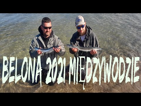 Belona- sprawdzona przynęta od rękodzielnika.