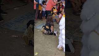 Download lagu PUTRI SEKAR MAYANG KESURUPAN JARANAN #jaranan #jarananndadi #jathilanndadi #kudalumping #jarankepang mp3