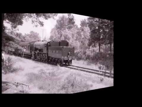 The last Longmoor Military Railway open day 5th July 1969