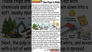 How Paper Is Made